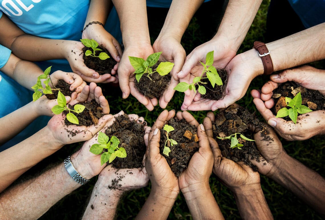 planting trees